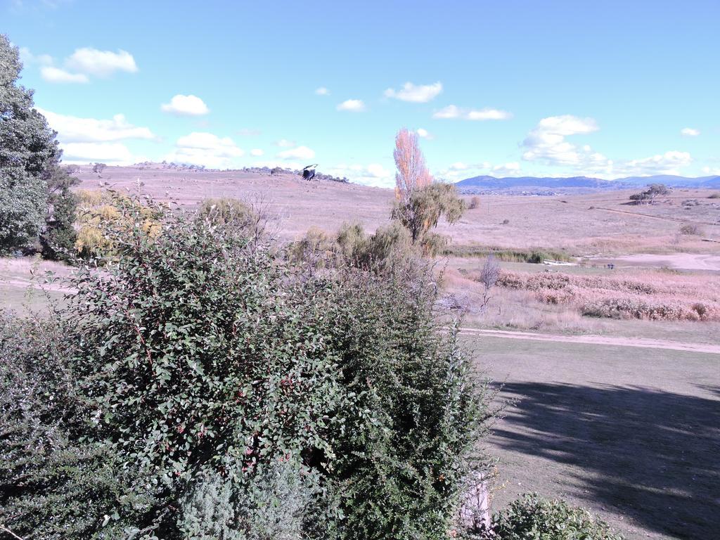Siesta Villa Jindabyne Dış mekan fotoğraf